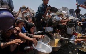 “Esto no se parece a nada en este siglo”: advierten que Gaza atraviesa un escenario de hambruna sin precedentes imagen-6