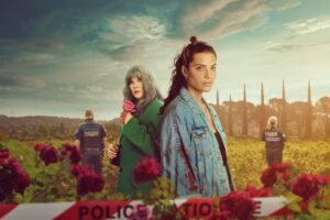 Netflix: cuatro miniseries para maratonear en un solo día imagen-3