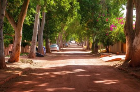 Previsión del tiempo en Misiones: semana soleada y temperaturas agradables imagen-68