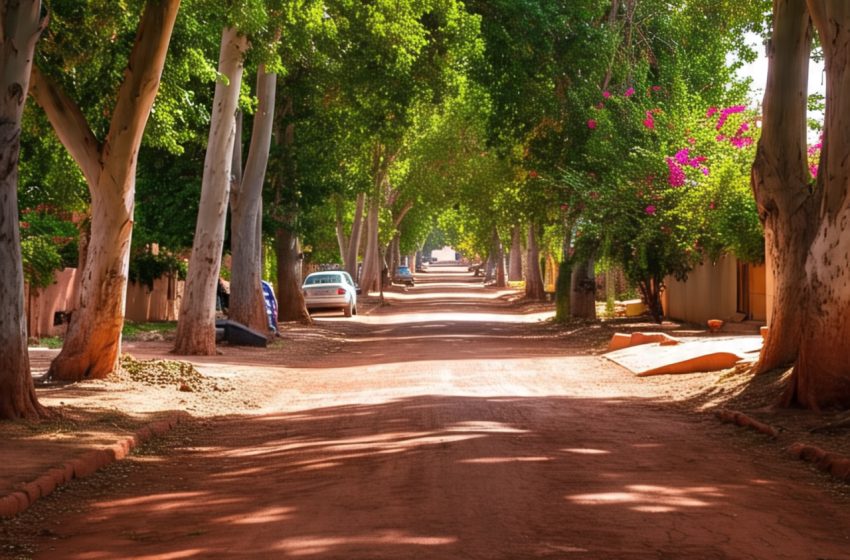 Previsión del tiempo en Misiones: semana soleada y temperaturas agradables imagen-76