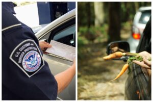 Un secreto de US$15 millones dentro de un camión de zanahorias: el hallazgo de la CBP en Texas imagen-1