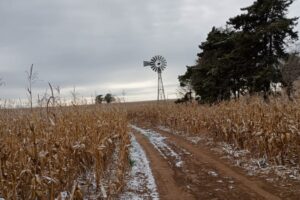 Los vientos polares están frenando el avance de las lluvias en la región pampeana imagen-1