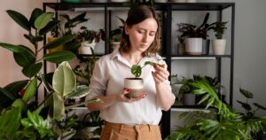 ¿Tenés muchas plantas en tu casa? Una experta en feng shui alerta sobre cómo podría afectar tu día a día imagen-2