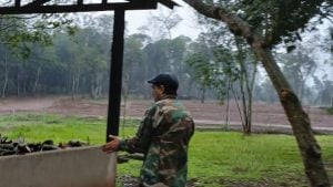 Tras una inspección ambiental, el Ministerio de Ecología detiene las obras del kartódromo en Puerto Iguazú imagen-8