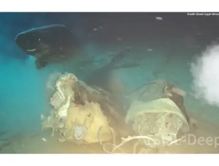 Lanzaron una vaca a las profundidades del mar de China: científicos querían simular el hundimiento de una ballena imagen-12