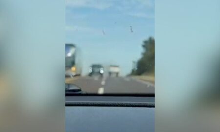 Maniobra peligrosa y casi tragedia sobre la Ruta 12 en Misiones imagen-100