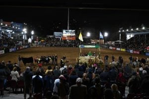 Misa de Campo en la Expo Rural 2025: “Comprometernos para construir una esperanza” imagen-4