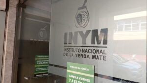 Nuevas irregularidades en el INYM: otro director privado con cargo público en Misiones imagen-1