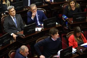 Senado: el kirchnerismo sumó a varios exaliados del Gobierno y sancionó los proyectos jubilatorios y la emergencia en discapacidad imagen-1