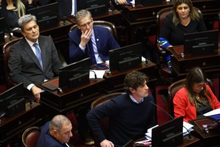 Senado: el kirchnerismo sumó a varios exaliados del Gobierno y sancionó los proyectos jubilatorios y la emergencia en discapacidad imagen-14