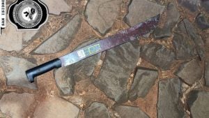 Disputa familiar terminó en batalla campal: seis detenidos y machetes incautados en Posadas imagen-7
