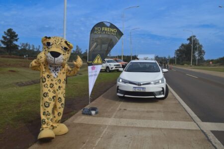 POR SEGUNDO AÑO CONSECUTIVO, MISIONES IMPULSA LA CAMPAÑA “YO FRENO POR LA FAUNA” PARA RESGUARDAR LA VIDA SILVESTRE imagen-72