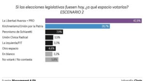 Según una encuesta, La Libertad Avanza aventaja al Kirchnerismo por 14 puntos imagen-1