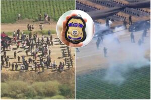 Golpe del ICE en las granjas de Glass House de California, corazón de la industria del cannabis legal del estado imagen-4