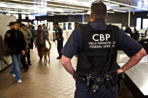 Quisieron ingresar a EE.UU. con estas frutas y comida, pero la CBP los revisó y aplicó la multa imagen-3
