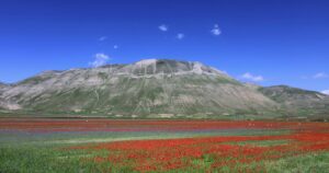 El pueblo de Italia que se transforma en un mar de flores cada primavera imagen-2
