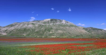 El pueblo de Italia que se transforma en un mar de flores cada primavera imagen-32