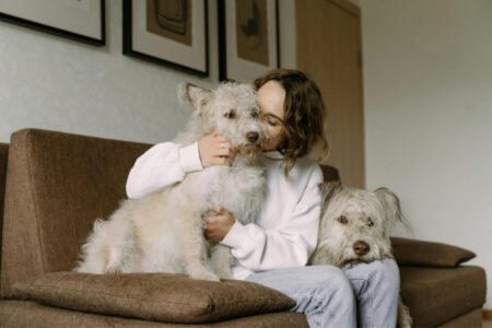 Cuáles son los beneficios de convivir con un perro, según Harvard imagen-11