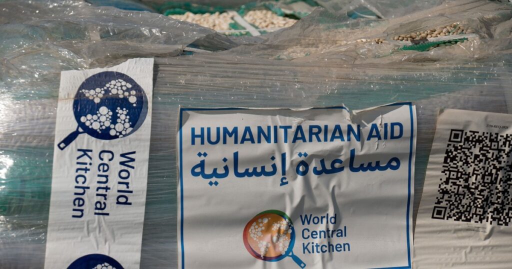 Israel reanuda el lanzamiento de ayuda sobre Gaza en medio de una grave crisis humanitaria imagen-5