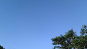 Arranca la semana con tiempo estable y temperaturas agradables en Misiones imagen-1