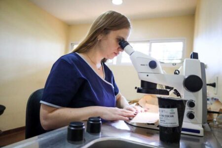 Misiones impulsa una red de vigilancia para prevenir enfermedades transmitidas por mosquitos imagen-15