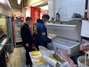 Allanaron un bodegón que vendía carne de carpincho, ciervo y yacaré imagen-9