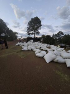 Colisión fatal en la ruta provincial 4 dejó un fallecido imagen-1