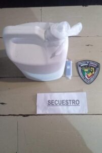 Intentó incendiar la casa de su vecina y roció con nafta a una joven: la Policía la detuvo imagen-1