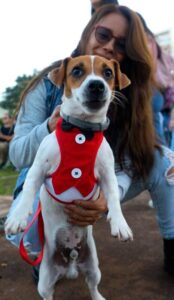 Celebraron el ‘Día del amigo incondicional’ con un desfile de mascotas en la Costanera imagen-1