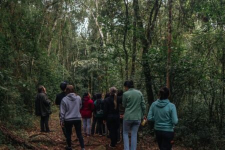 Passalacqua lanzó «Volar 2025», el primer encuentro internacional de observación de aves de Misiones imagen-12