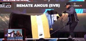 Pagaron $115 millones por un toro Angus en Palermo imagen-7