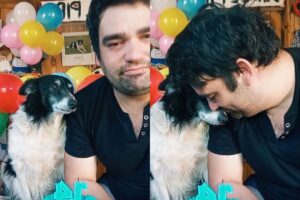 Le celebró el cumpleaños número 14 a su perro rescatado y causó furor en las redes: “Es todo para mí” imagen-2