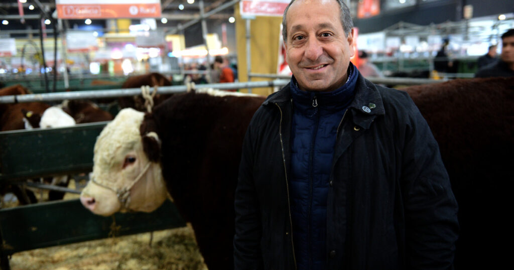 De médico a ganadero: la historia de la cabaña que ingresó el primer animal a la Expo Rural de Palermo imagen-4