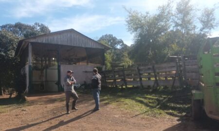 Cierran el matadero de El Soberbio y hay reclamos: “No tenemos cómo carnear” imagen-8