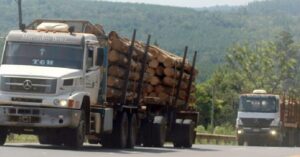 Aranceles de EE.UU. a Brasil: advierten oportunidades y riesgos para la economía argentina imagen-3