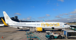 Flybondi y un nuevo frente: un "lessor" irlandés pide su "liquidación" en un tribunal de Inglaterra imagen-2