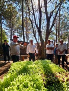 Herrera Ahuad visitó una chacra multiproductiva en Puerto Libertad y acompañó el fortalecimiento de la horticultura local imagen-4