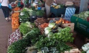 Feriantes advierten que comenzaron a sentirse los efectos de la helada imagen-2
