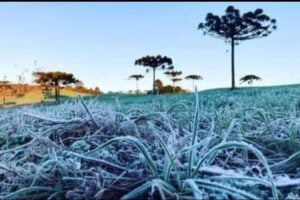 La ola polar sigue por unos días más en Misiones y luego llegan las temperaturas templadas imagen-6