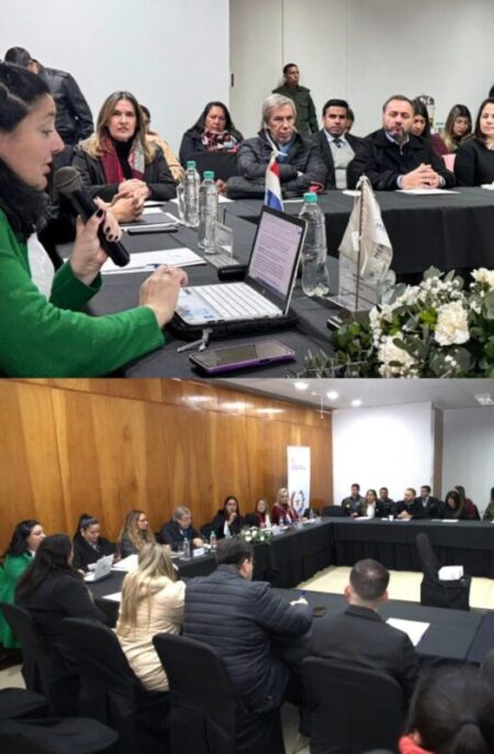 Misiones participa del Plan Regional para la prevención y erradicación del trabajo infantil en el MERCOSUR imagen-7