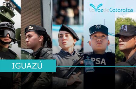 El Gobierno redefine el rol de la PFA, GNA, PNA, PSA y SPF con una reforma integral imagen-7