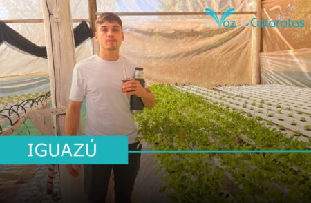 Agua-í Kokue: jóvenes productores apuestan por la hidroponía y la sustentabilidad imagen-7