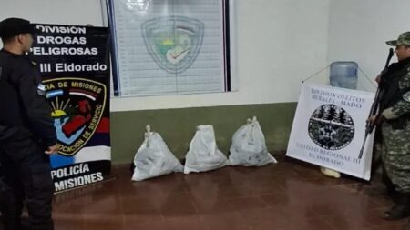 Eldorado: La Policía de Misiones secuestró 42 kilos de marihuana imagen-8