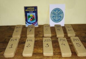 Wanda: hallaron más de 7 kilos de marihuana ocultos entre pinos en una zona rural imagen-4