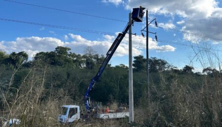 Avanza la modernización de la red eléctrica en el norte: colocaron más de 600 postes nuevos en la línea Wanda-Andresito imagen-14