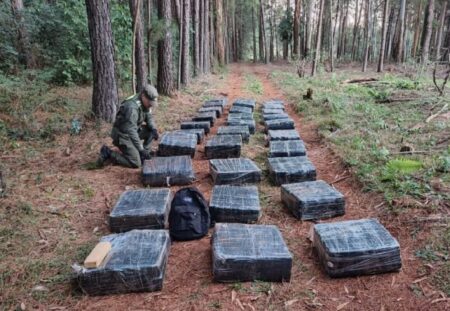 Puerto Rico: Narcotraficante huyó y dejó más de una tonelada de marihuana oculta en un monte imagen-14