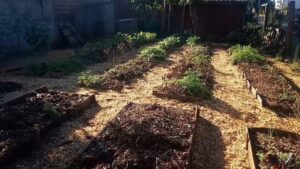 Vecinos y voluntarios trabajan para recuperar una huerta comunitaria en Las Heras y Oberá imagen-1