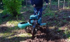 Estudiantes de Gobernador Roca usan motocultor para facilitar el trabajo en la chacra y cuidar el suelo imagen-3