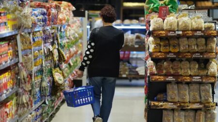 La inflación de junio en el NEA fue una de las más baja del país imagen-7