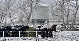 Fuerte repudio de productores de la Patagonia contra el Gobierno tras una decisión de Chile imagen-3